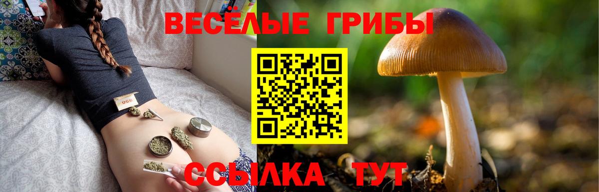 где купить   Псилоцибиновые грибы MAGIC MUSHROOMS  Вход с VPN  Пыть-Ях  Псилоцибиновые грибы мицелий 